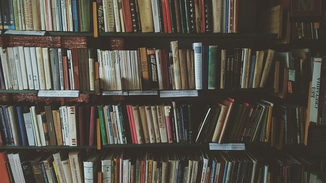 HERE ARE THE KEY TIPS FOR HIRING A GHOSTWRITER FOR YOUR NOVEL