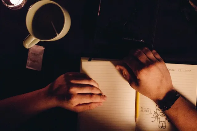 BOLLYWOOD SCRIPT WRITER